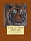 A Day at Sierra Safari Zoo