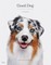 Good Dog