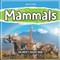 Mammals