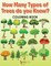 How Many Types of Trees do you Know? Coloring Book