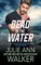 Dead in the Water