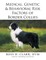 Medical, Genetic & Behavioral Risk Factors of Border Collies