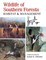 Wildlife of Southern Forests