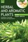 HERBAL AND AROMATIC PLANTS - Zingiber officinale (GINGER)
