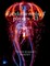 Fundamentals of physics - 13