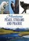 Montana Peaks, Streams and Prairie: