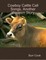 Cowboy Cattle Call Songs, Another Western Story
