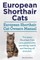 European Shorthair Cats. European Shorthair Cat Owners Manual. European Shorthair Cats care, personality, grooming, health and feeding all included.