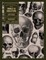 Skulls and Skeletons