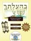 Bar/Bat Mitzvah Survival Guides