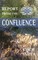 Report from the Confluence