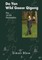 Da Yan Wild Goose Qigong the 1st 64 Movements