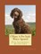 I Want A Pet Irish Water Spaniel