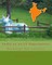 India as an IT superpower