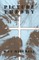 Picture Theory