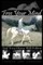 Free Your Mind And Your Horse Will Follow
