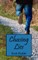 Chasing Lies