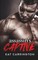 Assassin's Captive