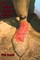 The Footbook of Zombie Walking