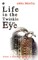Life in the Twinkle of an Eye