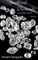 Scattered Diamonds and other short stories