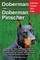 Doberman and Doberman Pinscher
