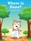 Where Is Enzo?