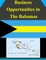 Business Opportunities in The Bahamas
