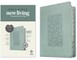 NLT Personal Size Giant Print Bible, Filament Enabled Edition (Red Letter, Leatherlike, Floral Frame Teal, Indexed)