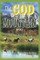 The God of the Mountain (Book II)