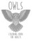 Owls Coloring Book