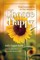 Choose Happy; Find Contentment in Any Situation