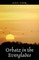 Orbatz in the Everglades
