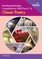 Developing Reading Comprehension Skills Years 5-6