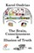 The Brain, Consciousness & Illusion of Truth
