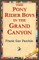 The Pony Rider Boys in the Grand Canyon