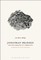 Jonathan Franzen and the Romance of Community
