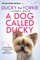 A Dog Called Ducky