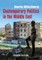 Contemporary Politics in the Middle East
