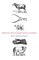 Midwestern Poet's Incomplete Guide to Symbolism
