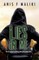 Lies In Me