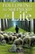 Following the Shepherd for Life