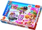 TREFL PAW PATROL Puzle Paw Patrol, 100 gab.