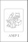Platonic Ideas and Concept Formation in Ancient and Medieval Thought