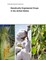 Genetically Engineered Crops in the United States