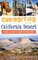 Curiosities of the California Desert
