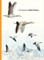 A Book of Bird Poems