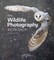The Wildlife Photography Workshop