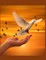 The Dove Christian Inspirational Notebook