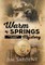 Warm Springs Mystery